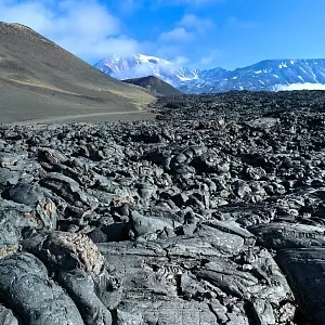 Фото отзыва