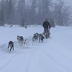 Фото отзыва