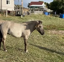 ополнительное фото тура 
