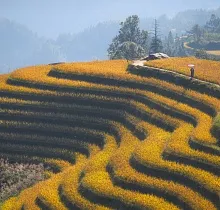 ополнительное фото тура 