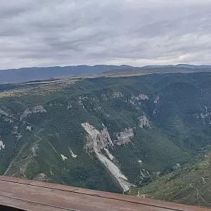 Фото отзыва