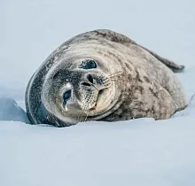 ополнительное фото тура 