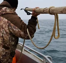 Фото дня 5 тура Наблюдение за промыслом, Мыс Дежнева