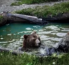 ополнительное фото тура 