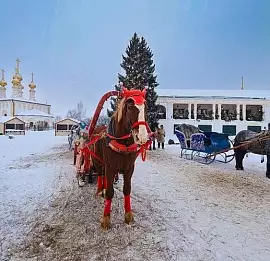 Тур Автобус |Автобусный тур по Золотому кольцу из Краснодара. Новогодний тур.