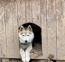 ополнительное фото тура 