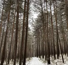 ополнительное фото тура 