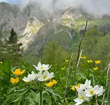 ополнительное фото тура 