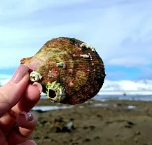 ополнительное фото тура 