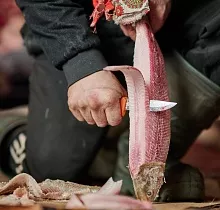 ополнительное фото тура 