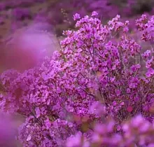 ополнительное фото тура 