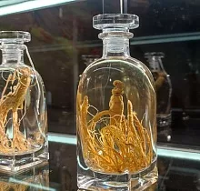 Фото дня 3 тура Гастротур «Вкус Тихого океана»