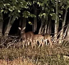 ополнительное фото тура 