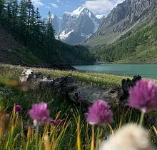 ополнительное фото тура 