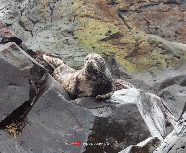 Изображение статьи Отдых на Курильских островах: как добраться, где жить, что посмотреть Туры России