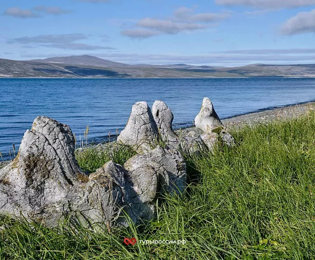 Изображение статьи Национальный парк «Берингия» — как добраться, где жить, что посмотреть Туры России