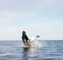 ополнительное фото тура 