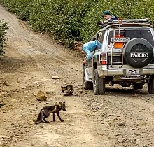 ополнительное фото тура 