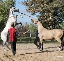 ополнительное фото тура 