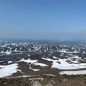 Фото отзыва