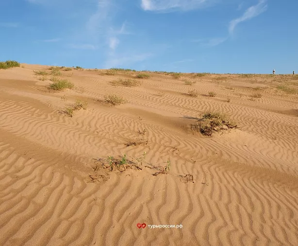 Изображение статьи Песчаные дюны Якутии: природный феномен за Полярным кругом  Туры России