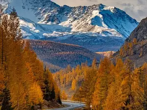 Осень на Алтае