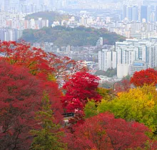 ополнительное фото тура 