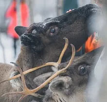 ополнительное фото тура