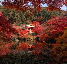 ополнительное фото тура 