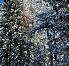 ополнительное фото тура 