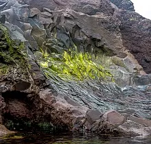 ополнительное фото тура 