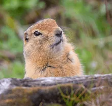 ополнительное фото тура 