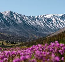 ополнительное фото тура 