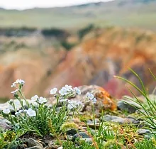 ополнительное фото тура 