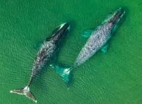 Шантарские Острова