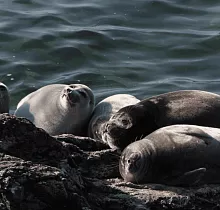 ополнительное фото тура 