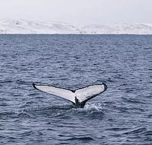 ополнительное фото тура 