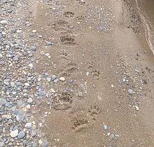 ополнительное фото тура 