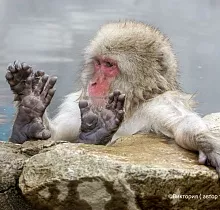 Фото дня 5 тура ПОЛНЫЙ ТУР ПО ЯПОНИИ 15 ДНЕЙ