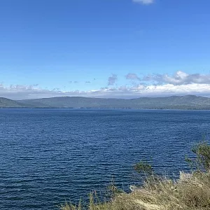 Фото отзыва