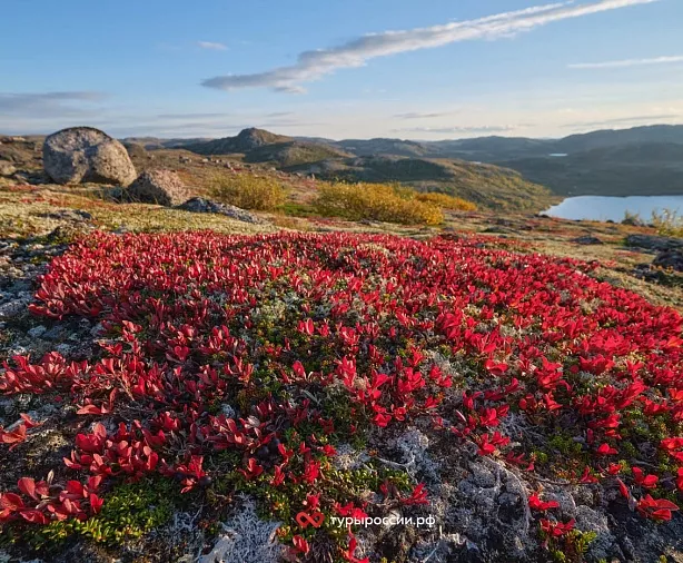 Изображение статьи Отдых в Териберке: как добраться, где жить, что посмотреть Туры России
