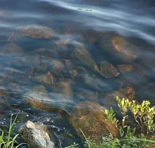 ополнительное фото тура