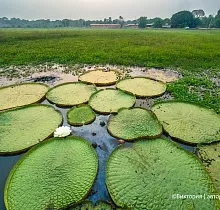 ополнительное фото тура 