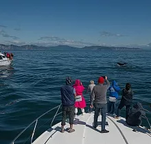 ополнительное фото тура 