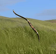 ополнительное фото тура 