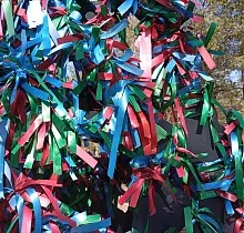 ополнительное фото тура 