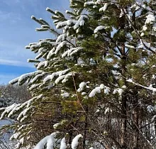 ополнительное фото тура 