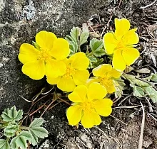 ополнительное фото тура 