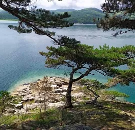 Тур Заповедные истории: леопард, ларги и море