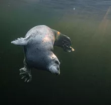 ополнительное фото тура 